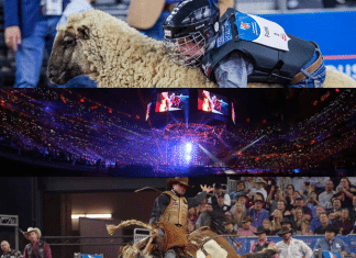 collage of rodeohouston from their webpage