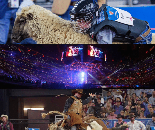 collage of rodeohouston from their webpage