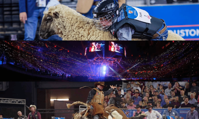 collage of rodeohouston from their webpage