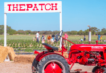 Red Tractor in Rockberry Patch