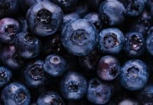 blueberry festival featured