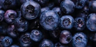 blueberry festival featured