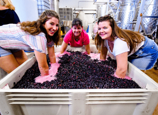 grape punching to make wine in hye, tx