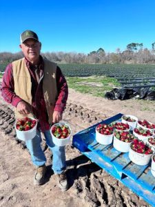 man after picking strawberries at froberg's farm