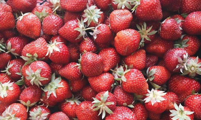 lots of delicious strawberries