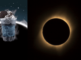 birdcall totality milkshake 2024 featured image
