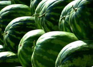 Watermelon Eating and Seed Spitting Contest Coming Up in July in McDade, TX
