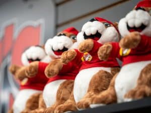 Texas A&M Buc-ee's beaver plushies on a shelf