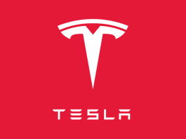 tesla robotaxi